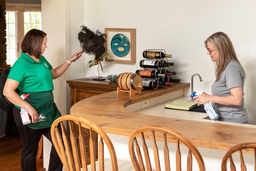 Cleaning Professionals